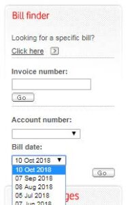 How to - Use Online Billing8