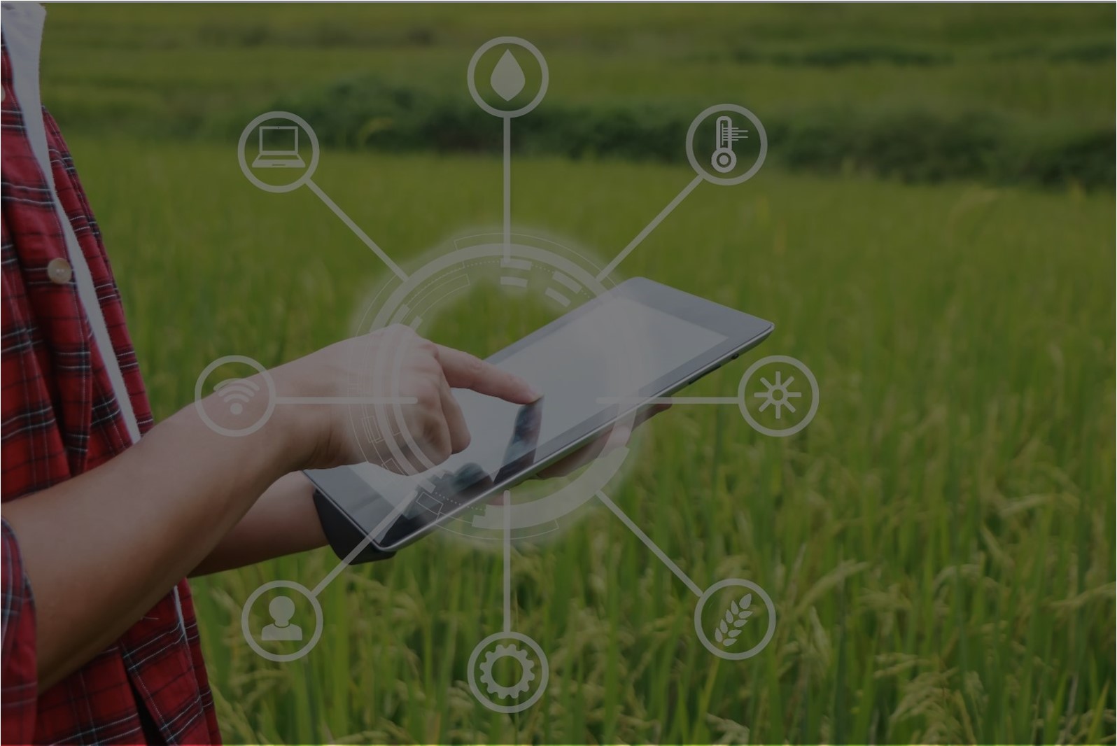 IOT Agriculturec